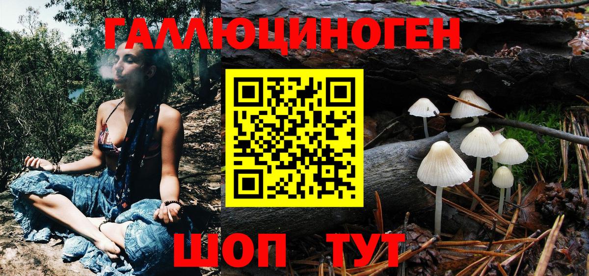 Галлюциногенные грибы мухоморы  Псилоцибиновые грибы Psilocybine cubensis  Алексин  Вход с VPN 