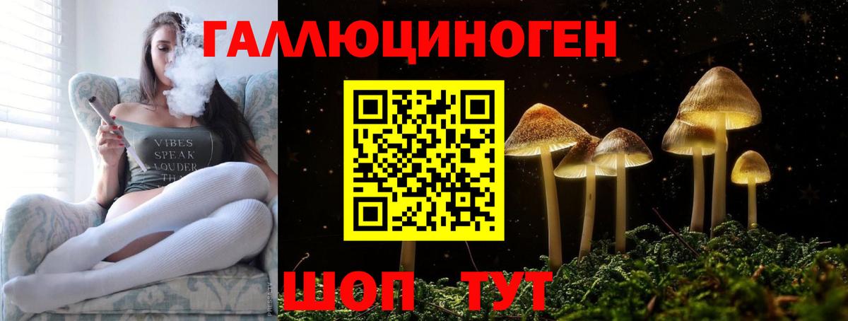 Псилоцибиновые грибы мицелий Алексин
